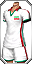 DŞ Forması IRN (e)
